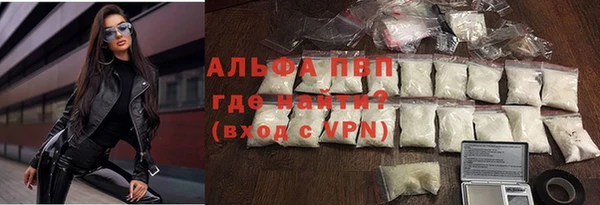 стаф Богданович