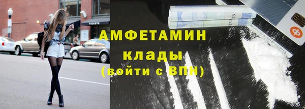стаф Богданович