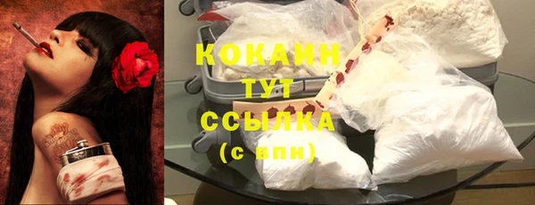индика Богородицк