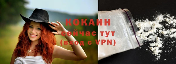 стаф Богданович