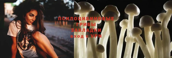 амф Богородск