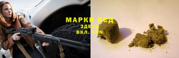 ГАЛЛЮЦИНОГЕННЫЕ ГРИБЫ Белокуриха