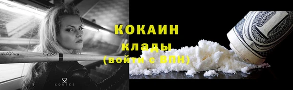 индика Богородицк