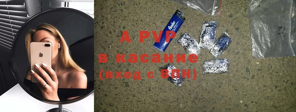 индика Богородицк