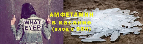 стаф Богданович