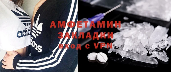 индика Богородицк