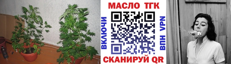 Купить закладки  Нерюнгри  ТГК вейп 